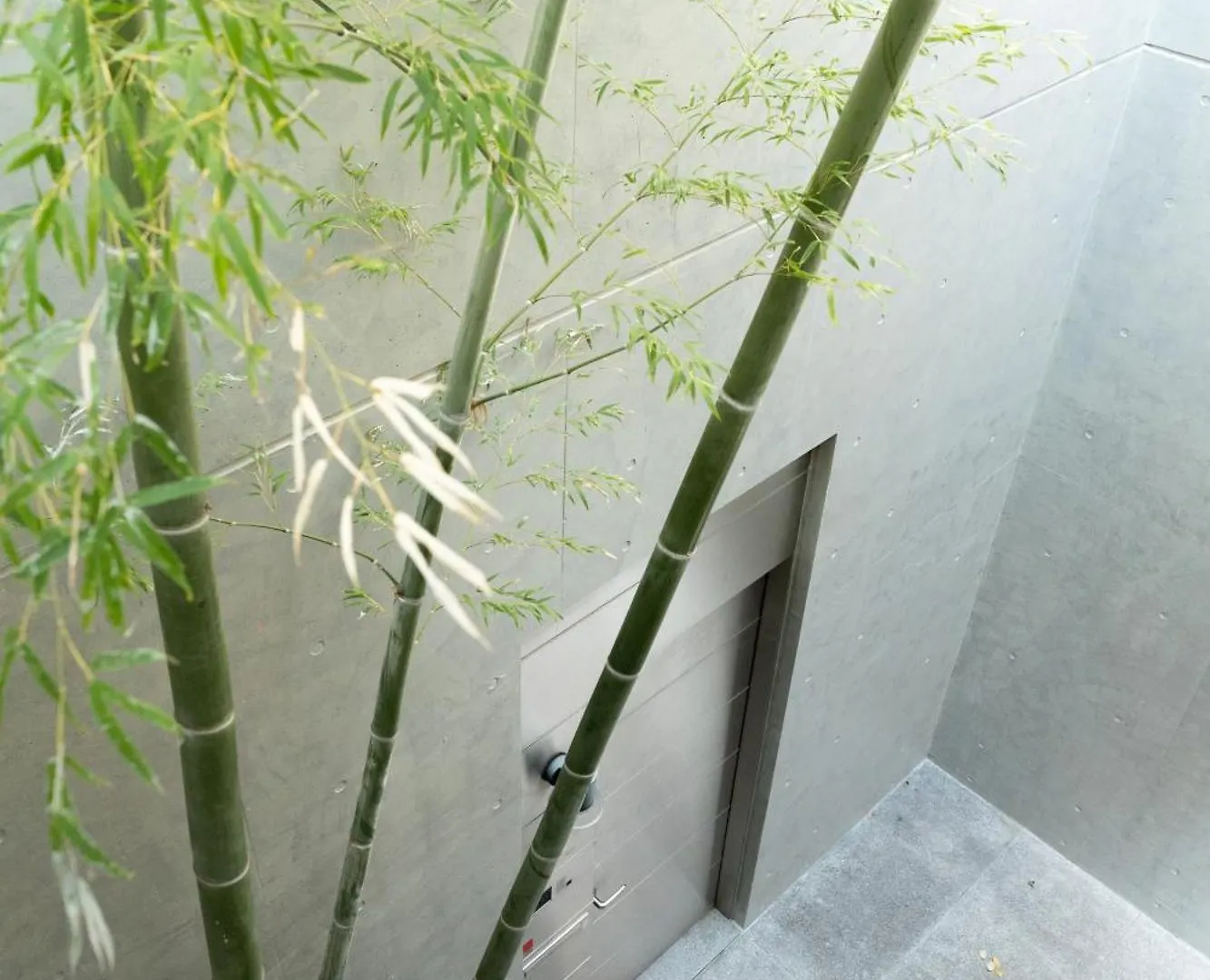 Semesterbostad Azabu Modern House The Tokyo Tower Can Be Seen From The Villa 500M2